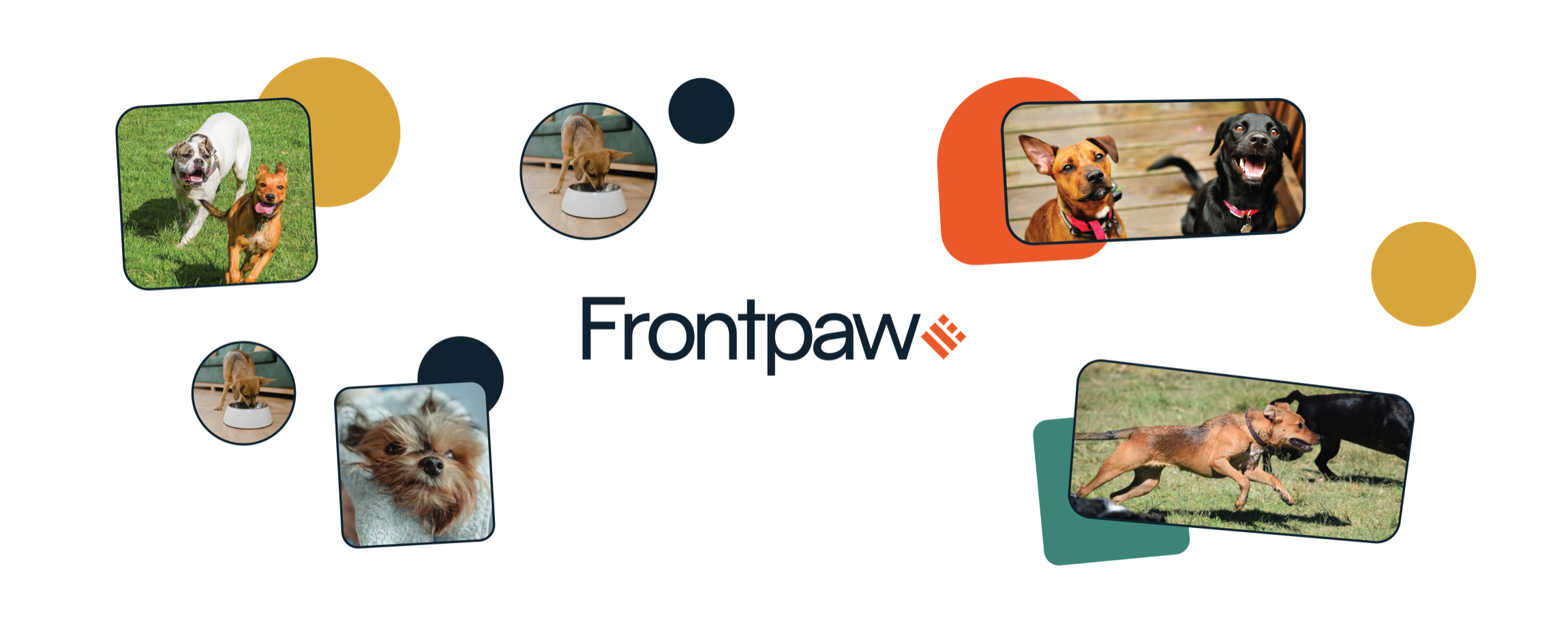 Frontpaw — your integrated dog grooming assistant